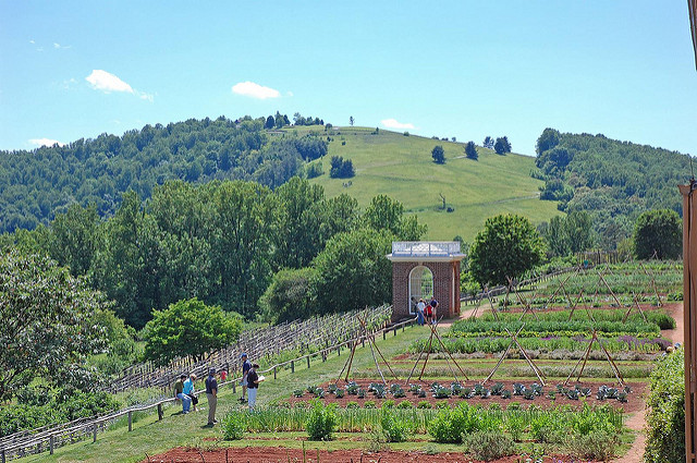 Vegetable Garden